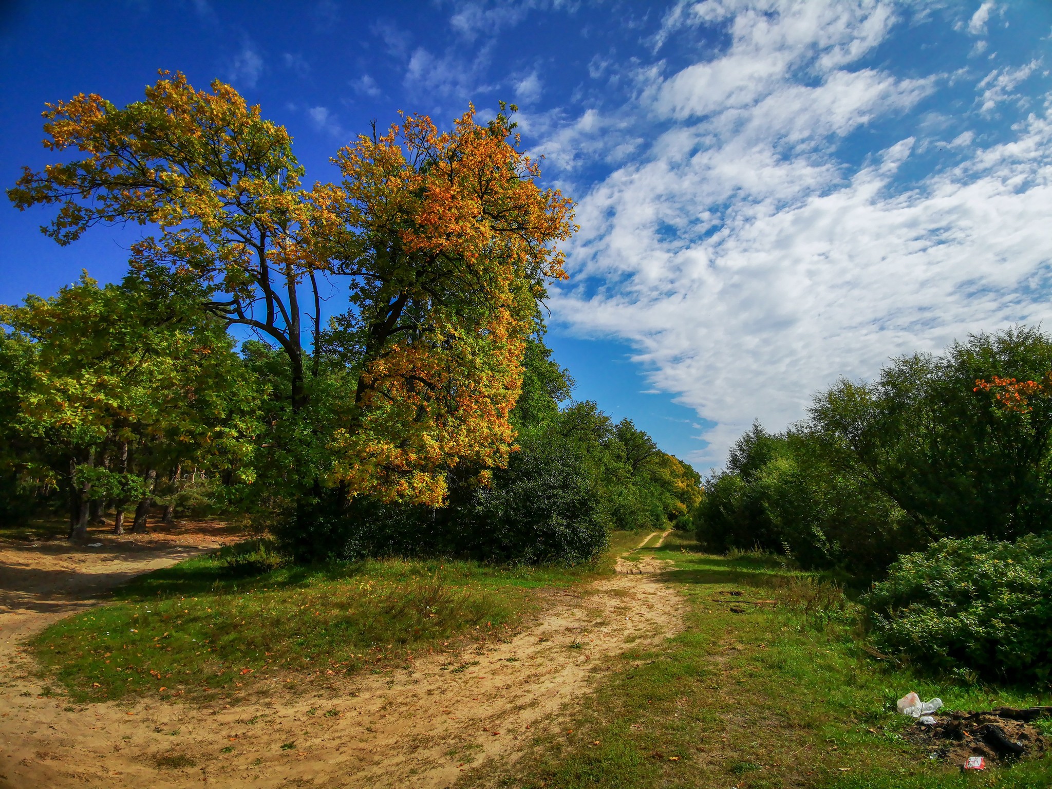 September sketches - My, Dzerzhinsk, Reshetiha, Nature, Mobile photography, The photo, Longpost, Video, A bike