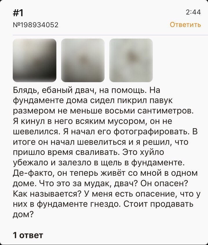 как поменять тему на playstation 5 как поменять тему на playstation 5