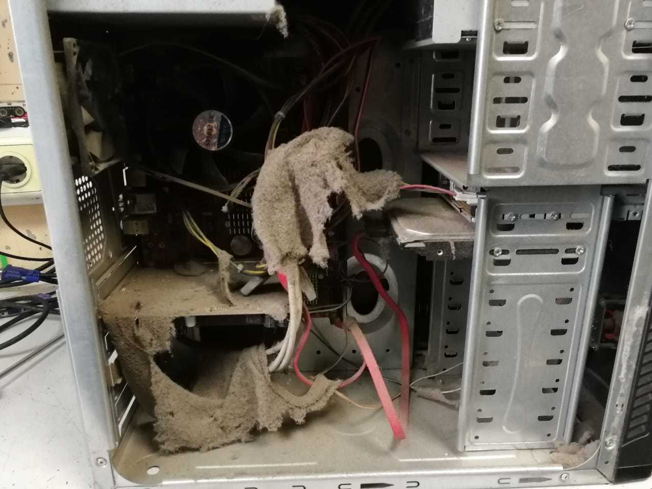 Complaint does not turn on - My, Dust, Computer, Breaking