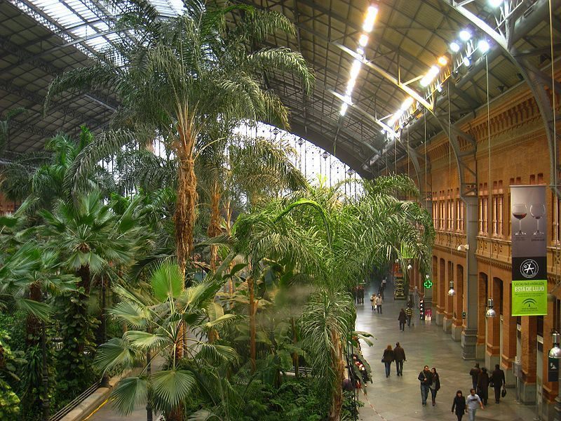 Green station in Madrid. - Madrid, Garden, Plants, Longpost