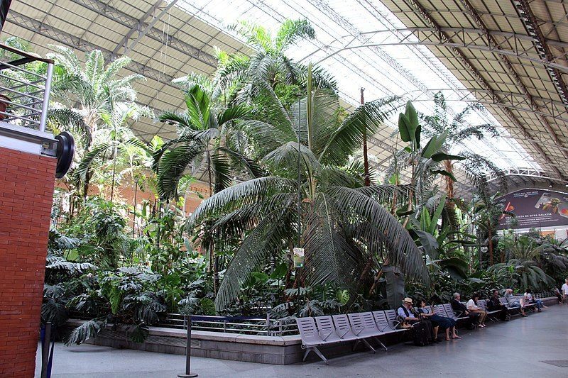 Green station in Madrid. - Madrid, Garden, Plants, Longpost