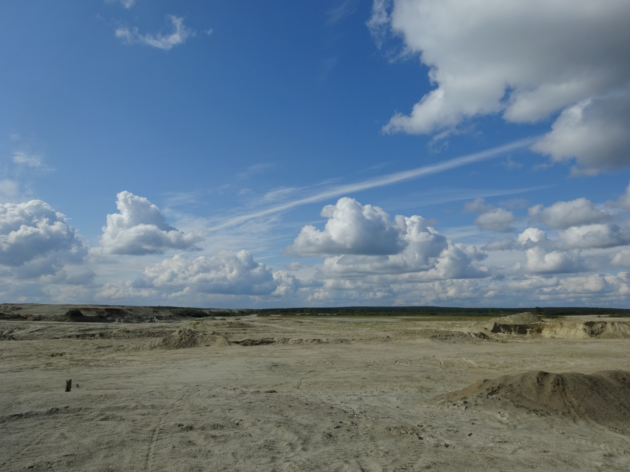 sea ??buckthorn desert - My, Sandstone, Berezovsky, Career, Sea buckthorn, Longpost