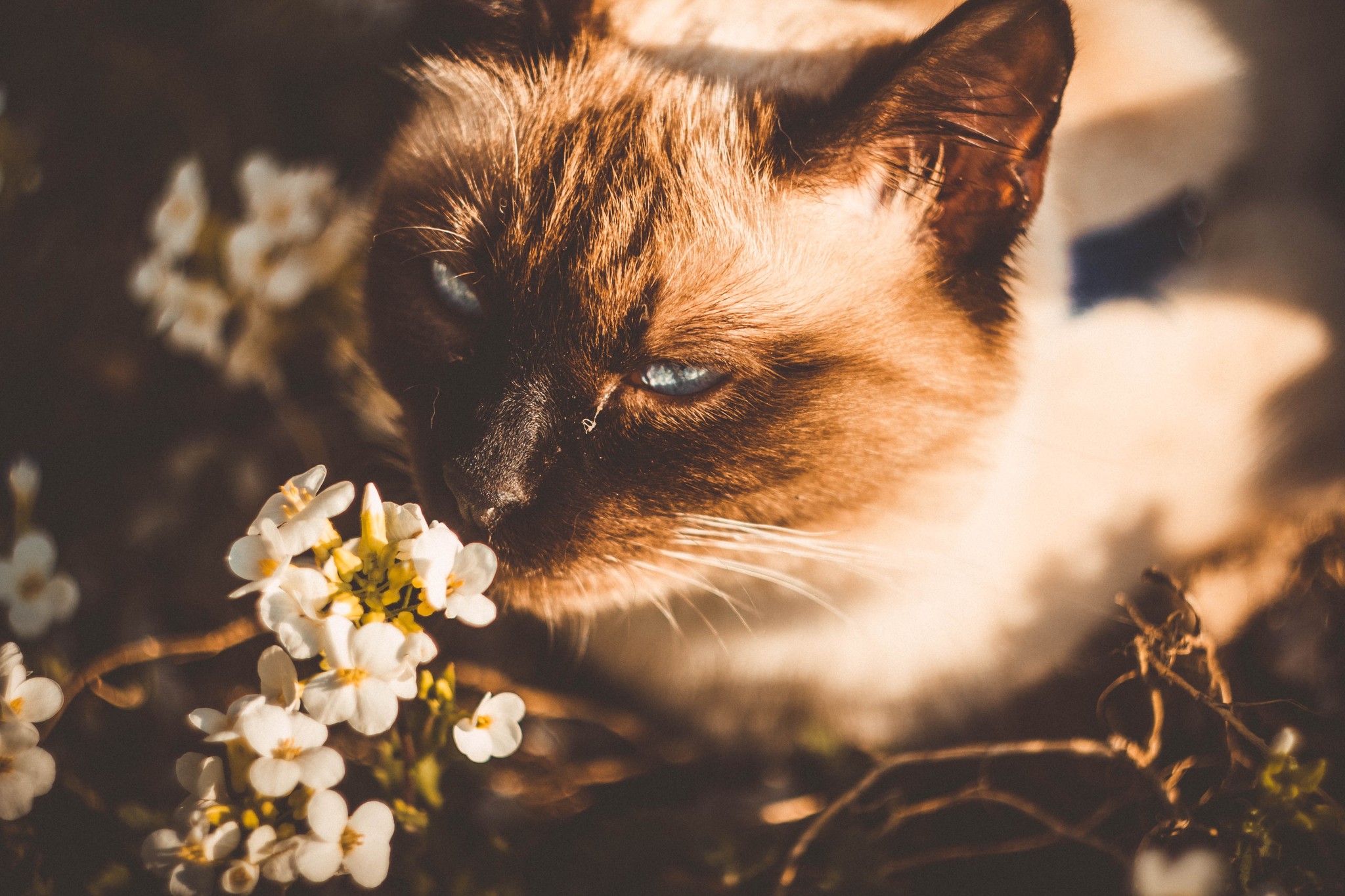 Photography for yourself, soul and for the sake of interest - My, The photo, Manual optics, Helios44-2, , Canon, Photo processing, Nature, For the soul, Longpost, Helios44-2, Helios 40