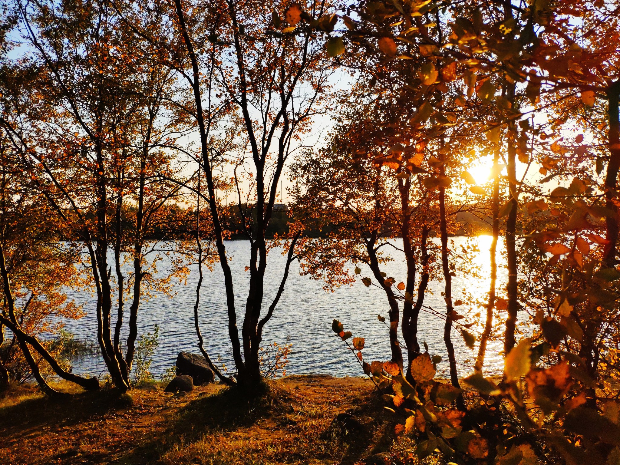 Golden autumn in the Arctic - My, Landscape, beauty of nature, Kola Peninsula, Murmansk, Longpost