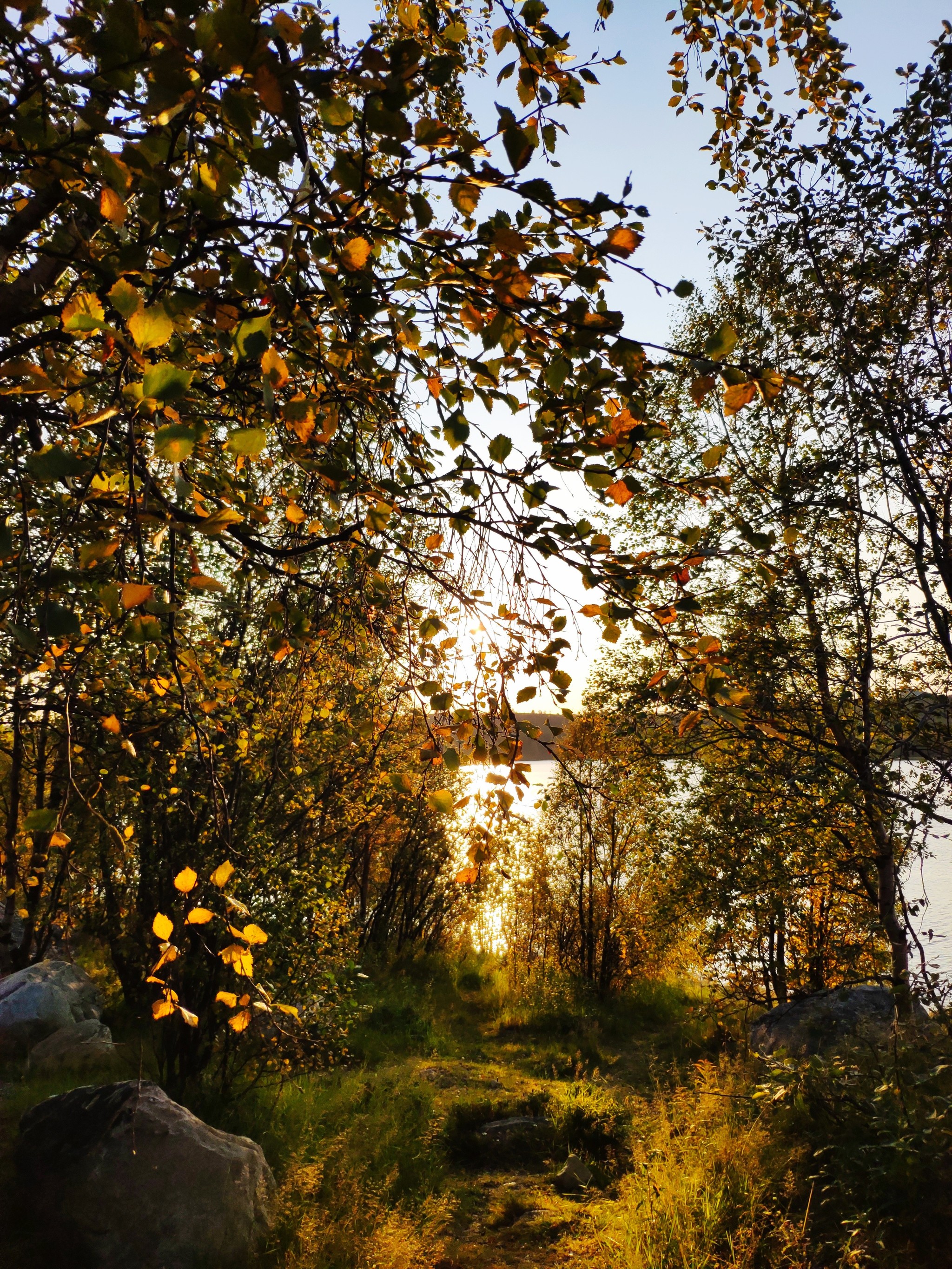 Golden autumn in the Arctic - My, Landscape, beauty of nature, Kola Peninsula, Murmansk, Longpost