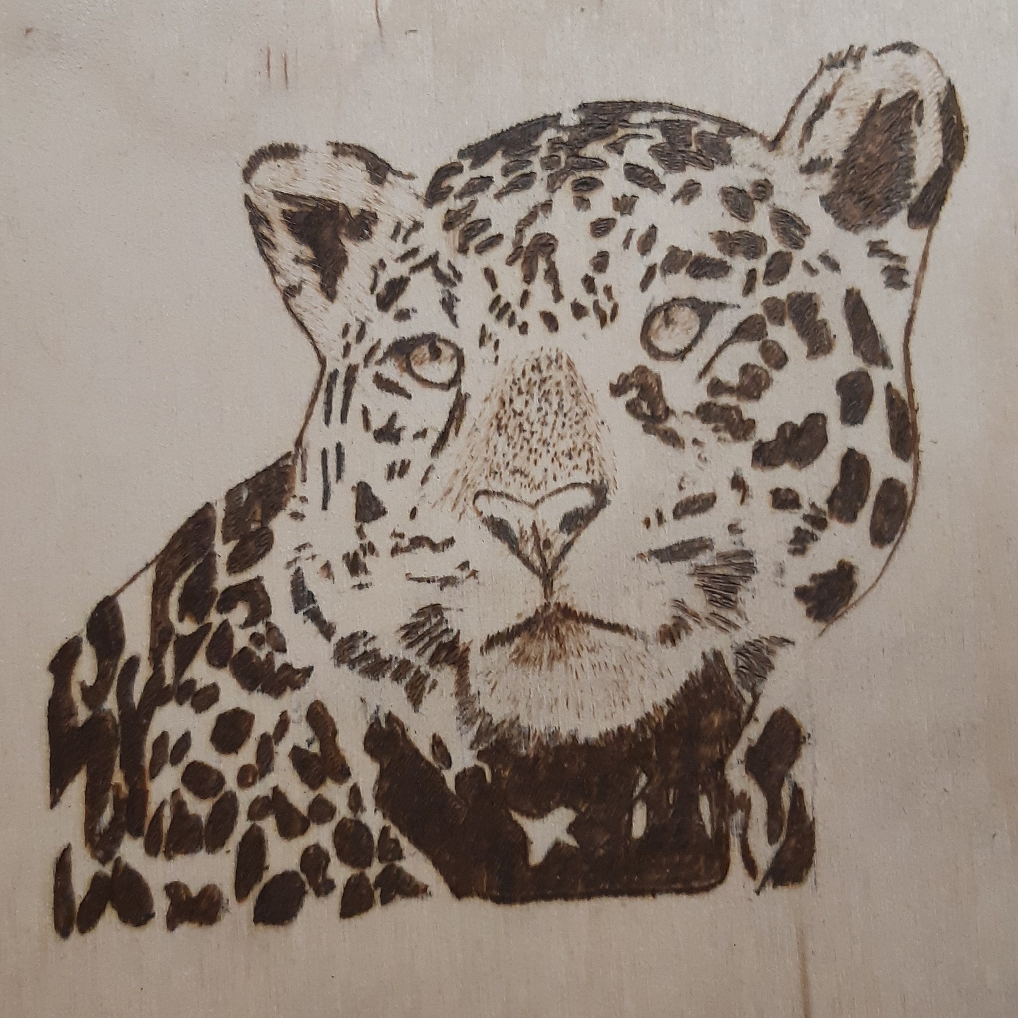 Леопард пирография