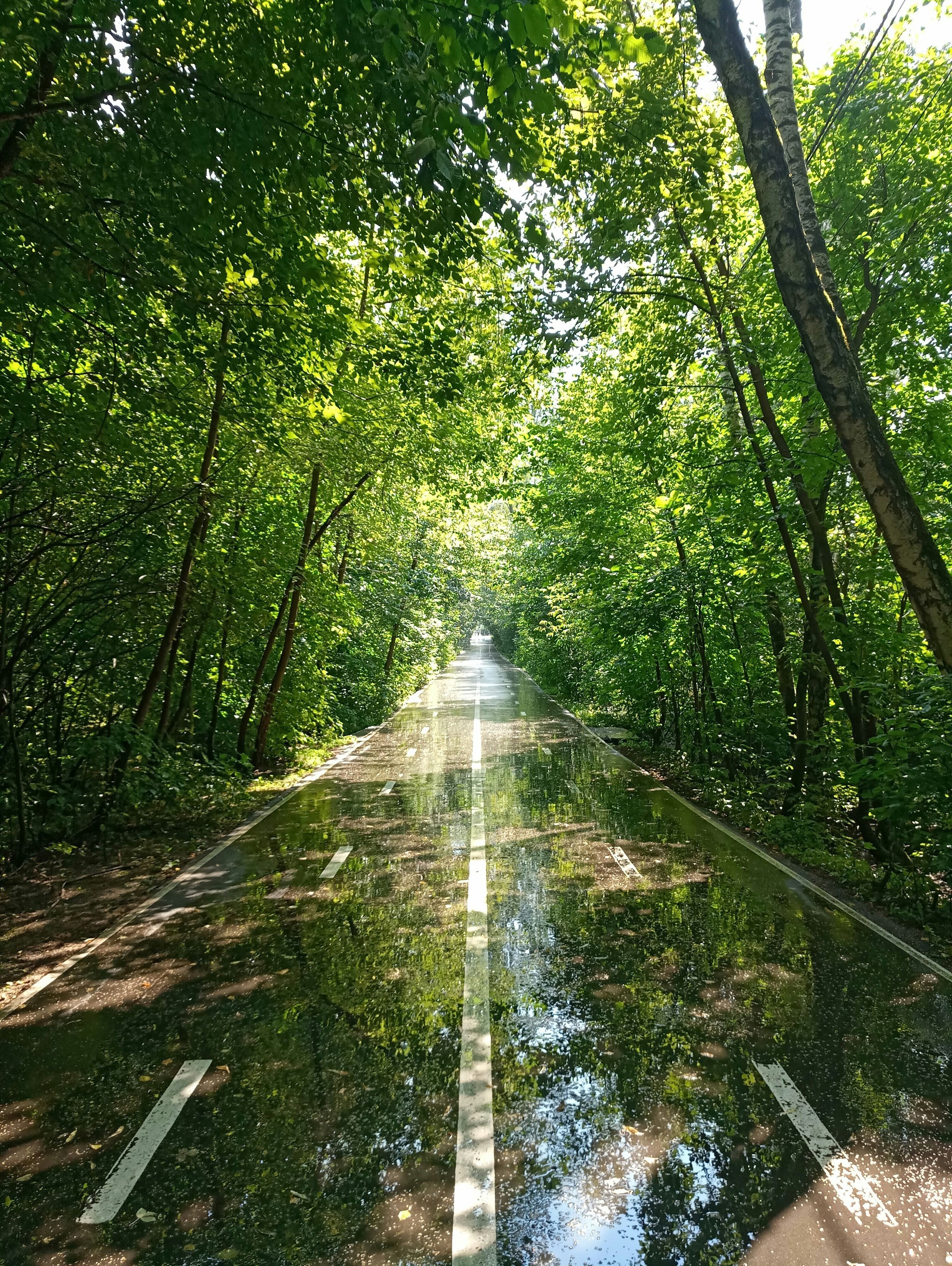 After the rain - My, The photo, Nature, Reflection, beauty, Road