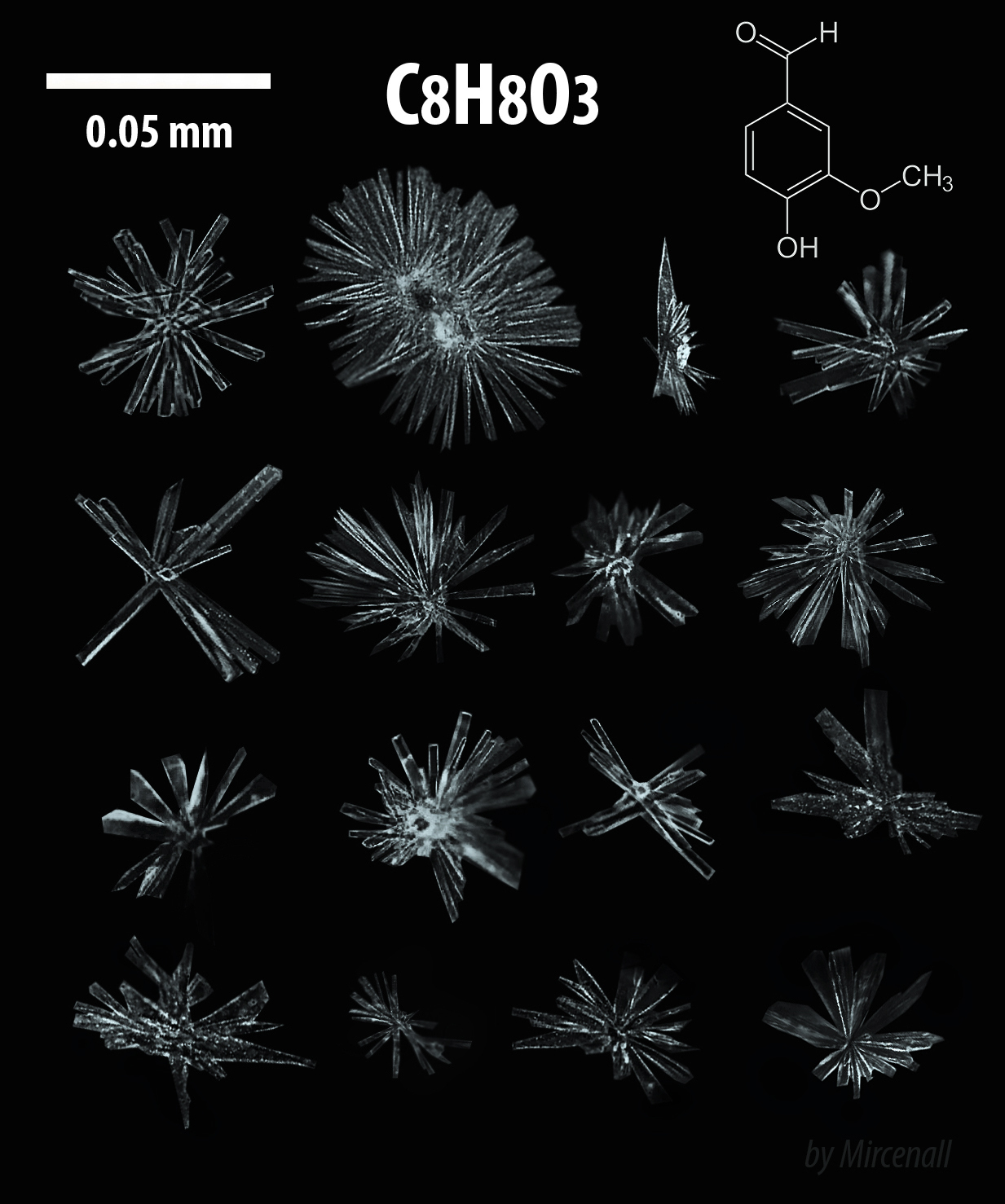 Vanillin crystals - My, Chemistry, League of chemists, Crystals, Microscope, Vanillin