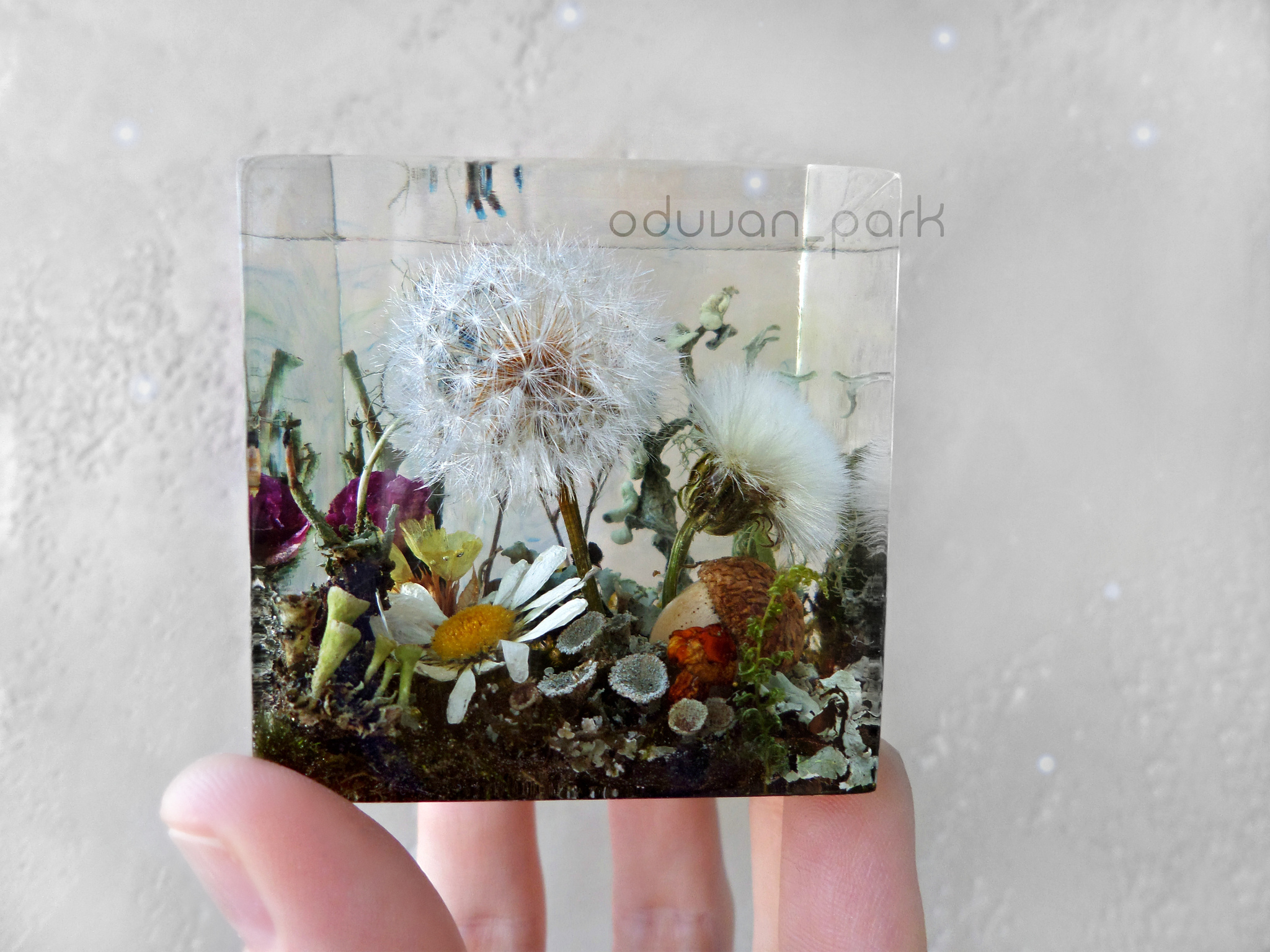 natural decor - My, Epoxy resin, Epoxy resin jewelry, Interior items, Interior, Nature, Video, Longpost, Needlework without process