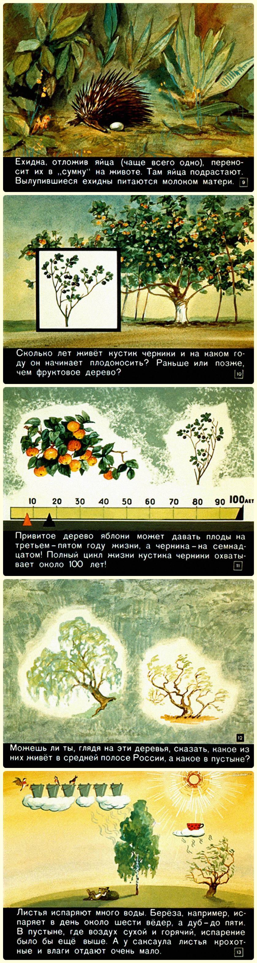 Don't think - don't answer (1967) - the USSR, Longpost, Film-strip, Past, Picture with text, Filmstrips