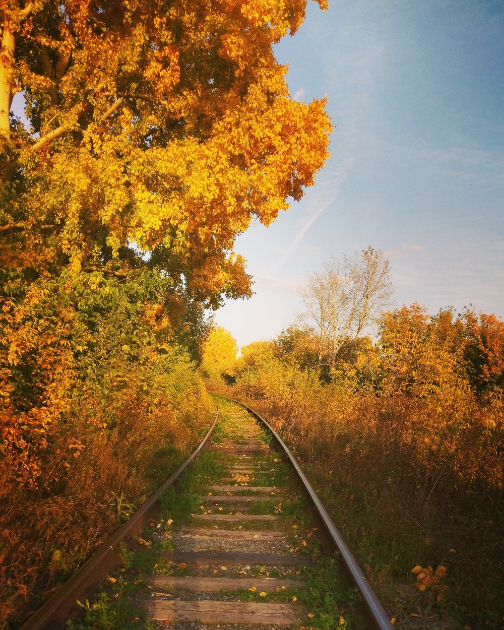 Photo on autumn slippers. - My, Railway, Autumn