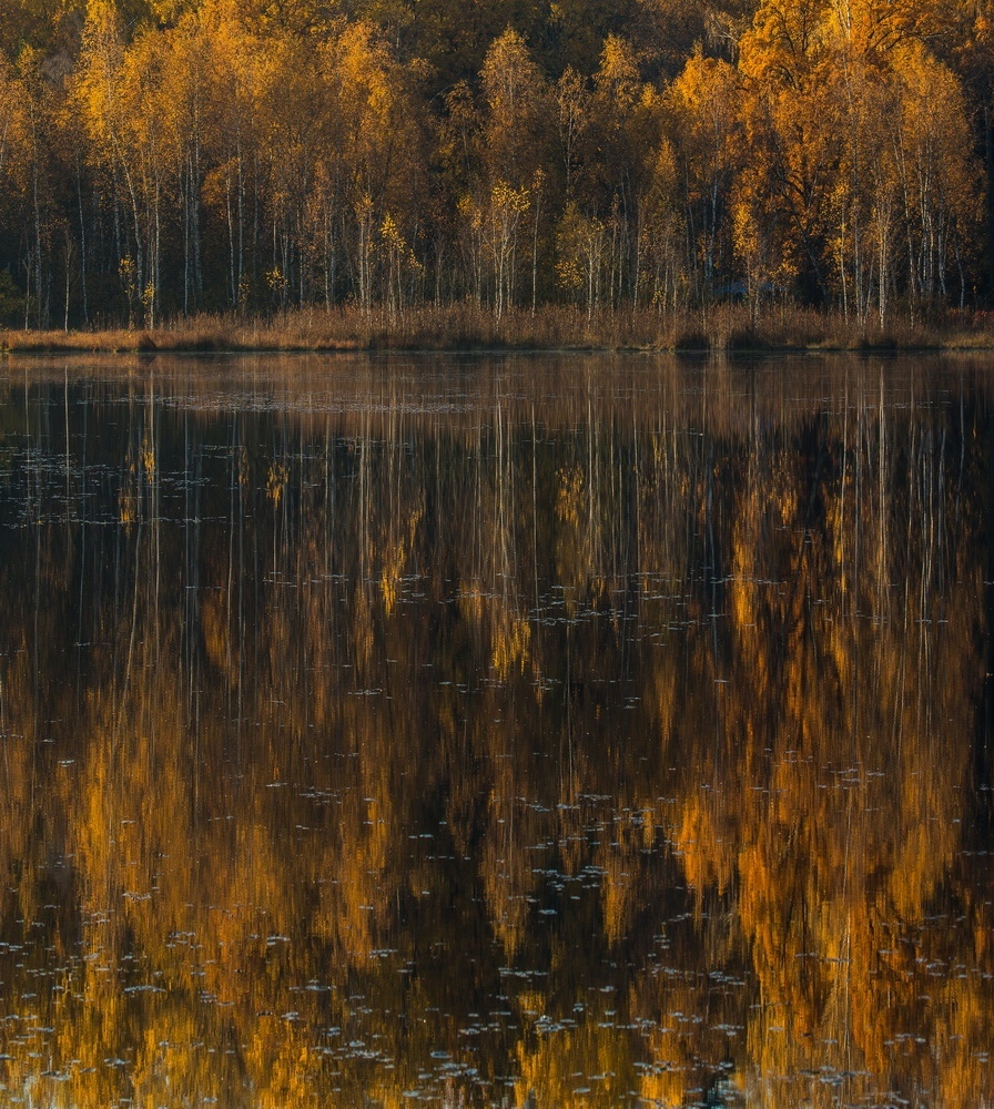 Autumn - Autumn, Komi, Forest, Sterkhi, Longpost