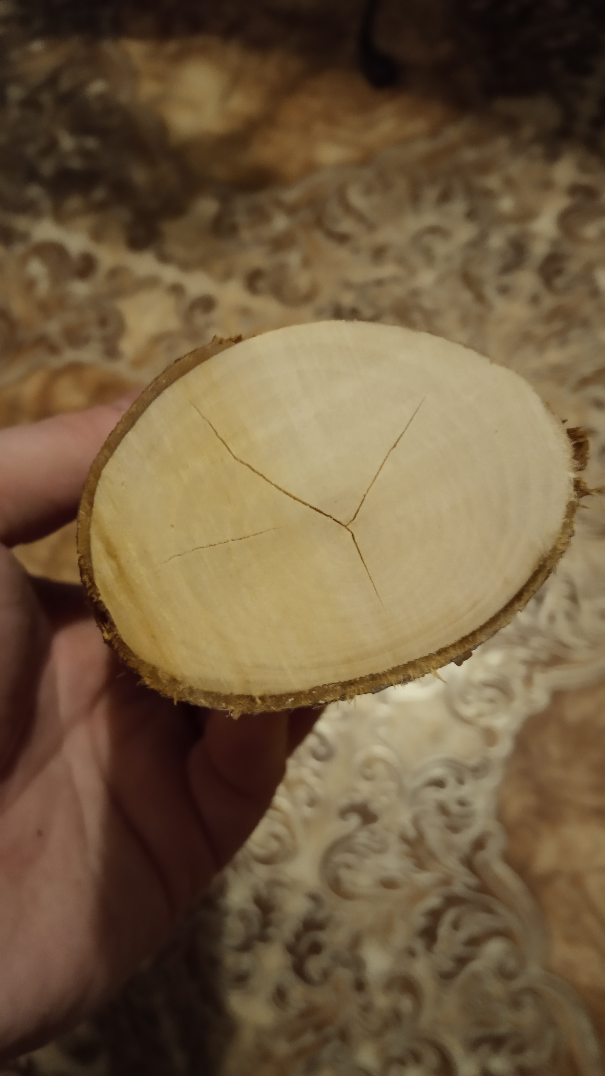 Help identifying wood species please - My, Tree, Carpenter, Longpost