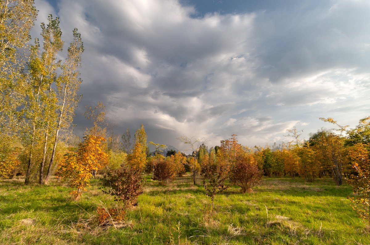 Evening in the autumn park. - My, Autumn, Almaty, Landscape, Evening, Canon, Longpost