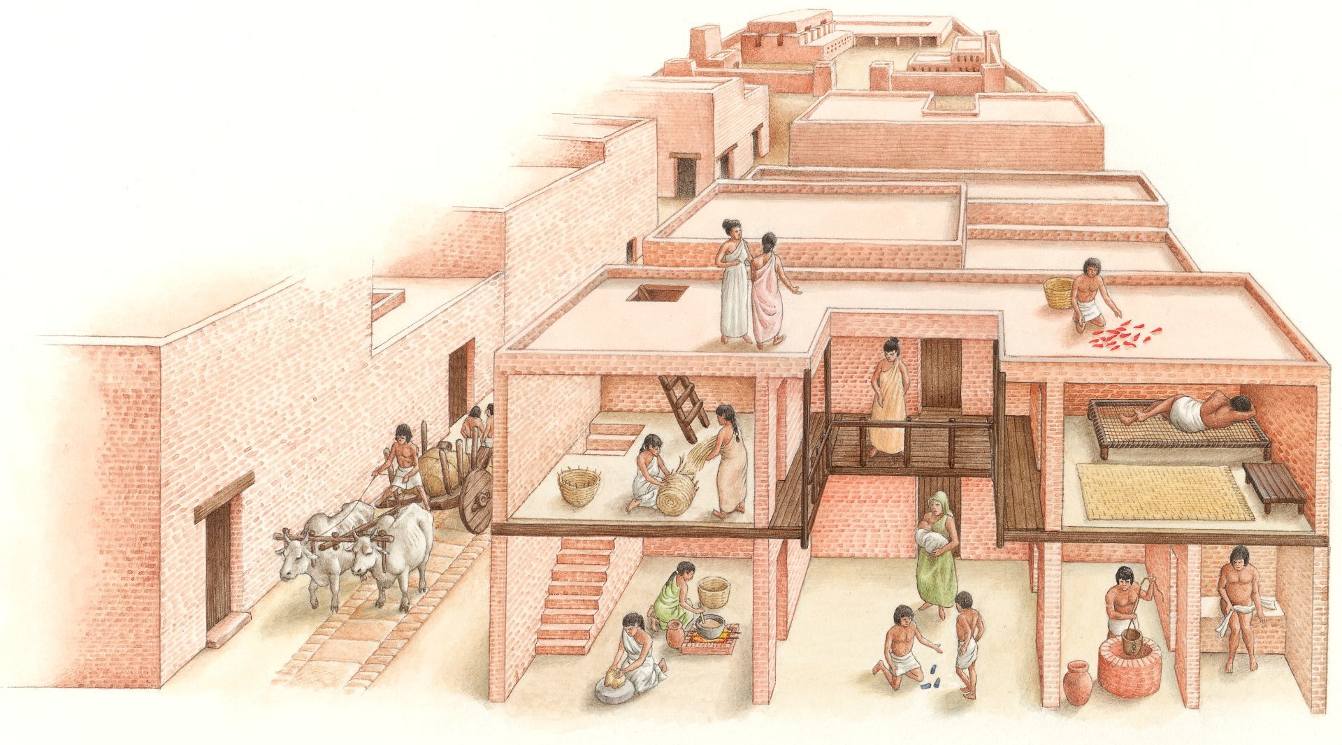 The mysterious Indus civilization, the inventions of which we still use - Story, Interesting, Informative, Indus Valley Civilization, Harappa, Longpost