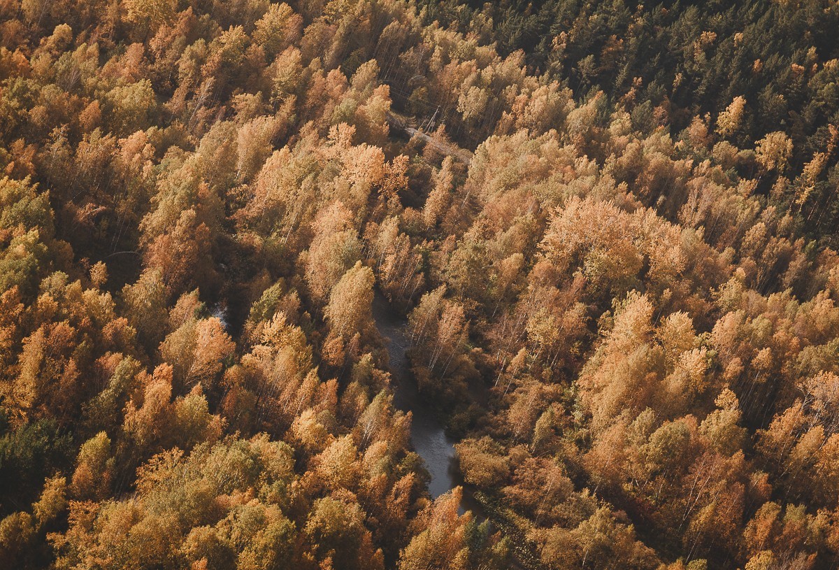 Autumn - My, Autumn, Krasnoyarsk region, Nature, Siberia, Canon, Longpost