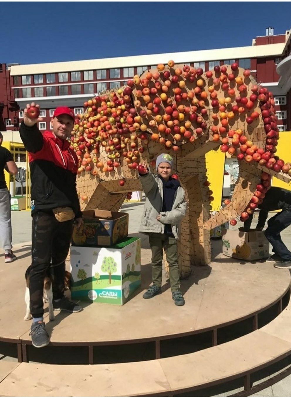 City Day in Stavropol - continued. - Elephants, Day of the city, Apples, Longpost