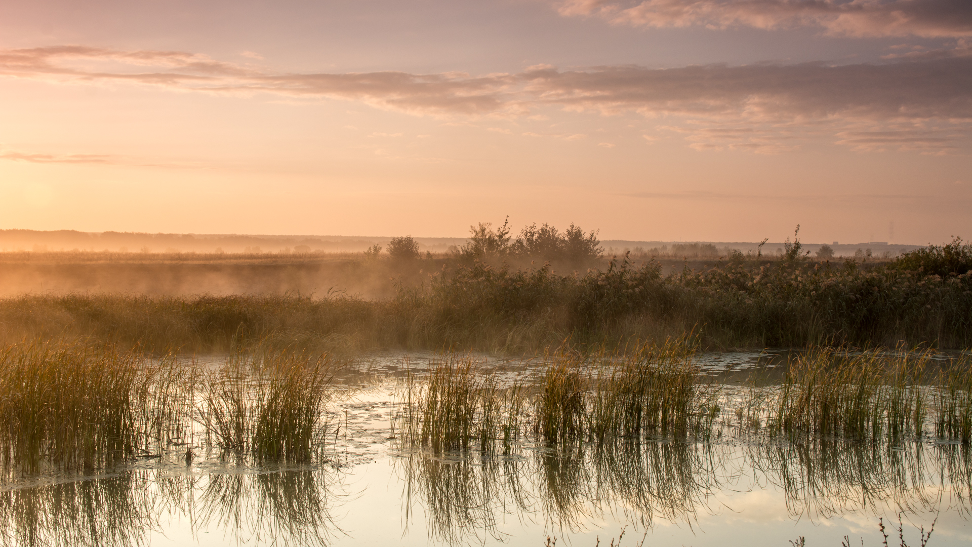 At dawn - My, The photo, Beginning photographer, Tambov, Tambov Region, River, , Open spaces, Longpost