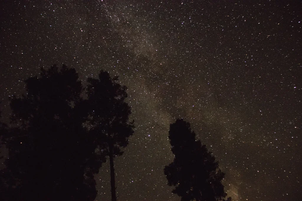 Is there anyone there? - My, Stars, Space, The photo, Forest, Longpost, Stars