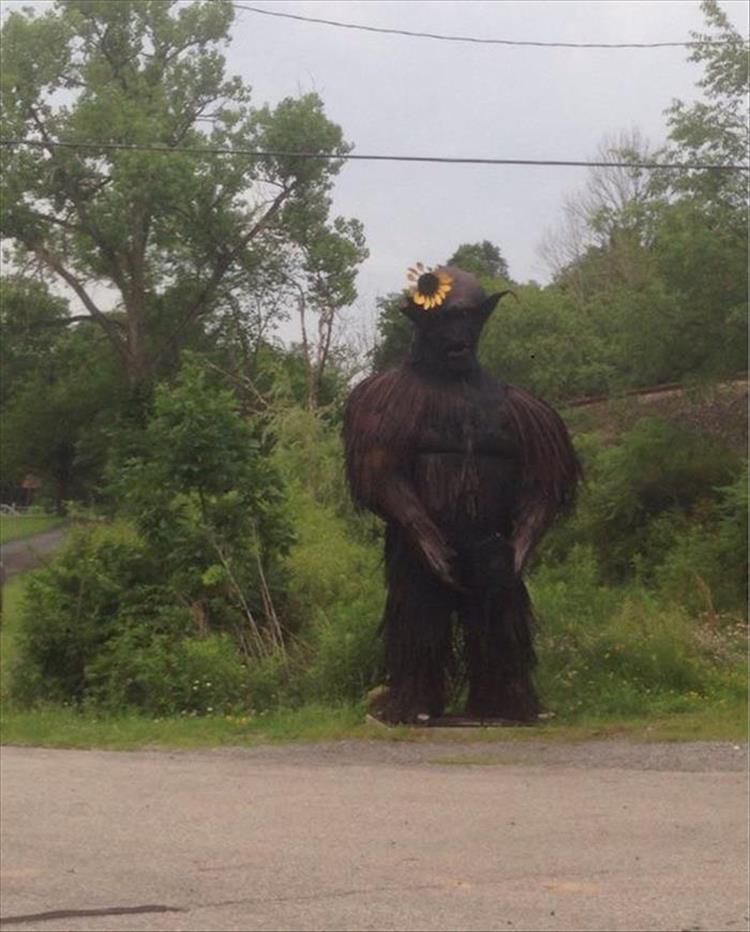 At night, it is quite possible to poop here. - Road, Roadside, Monster, Sunflower, From the network