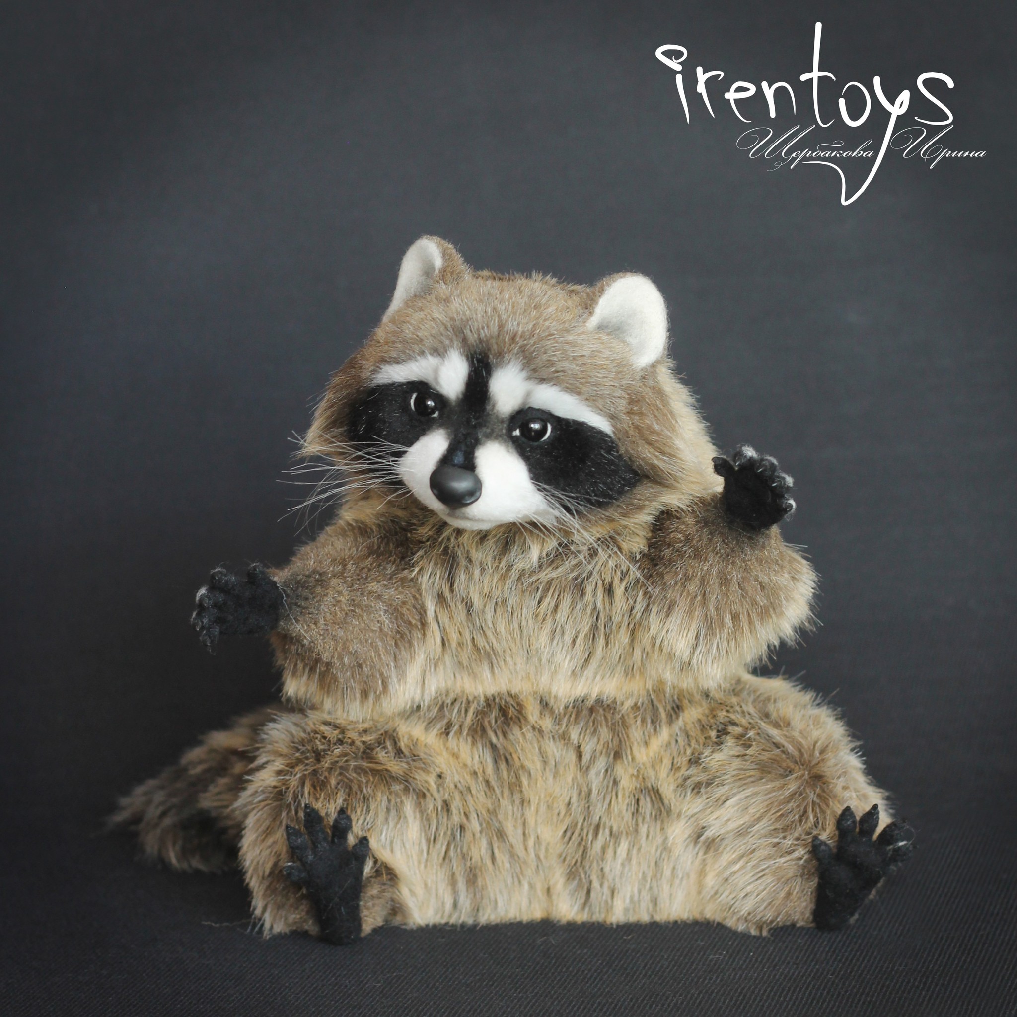 Raccoon [author's toy] - My, Handmade, Needlework without process, Raccoon, Needlework, Realism, , Longpost