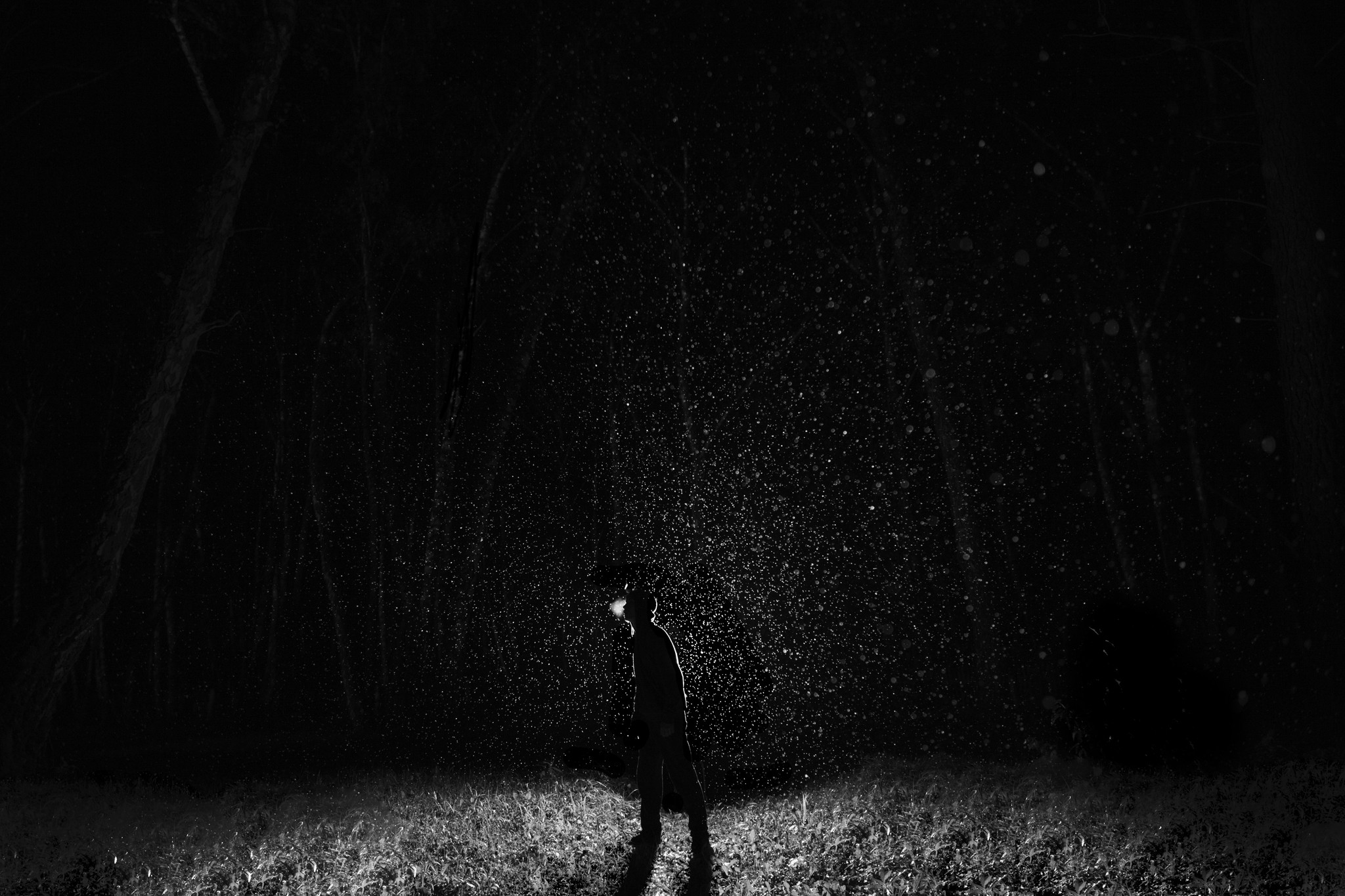 Measurement - My, Beginning photographer, Forest, Rain, Short shutter speed, Night, Portrait