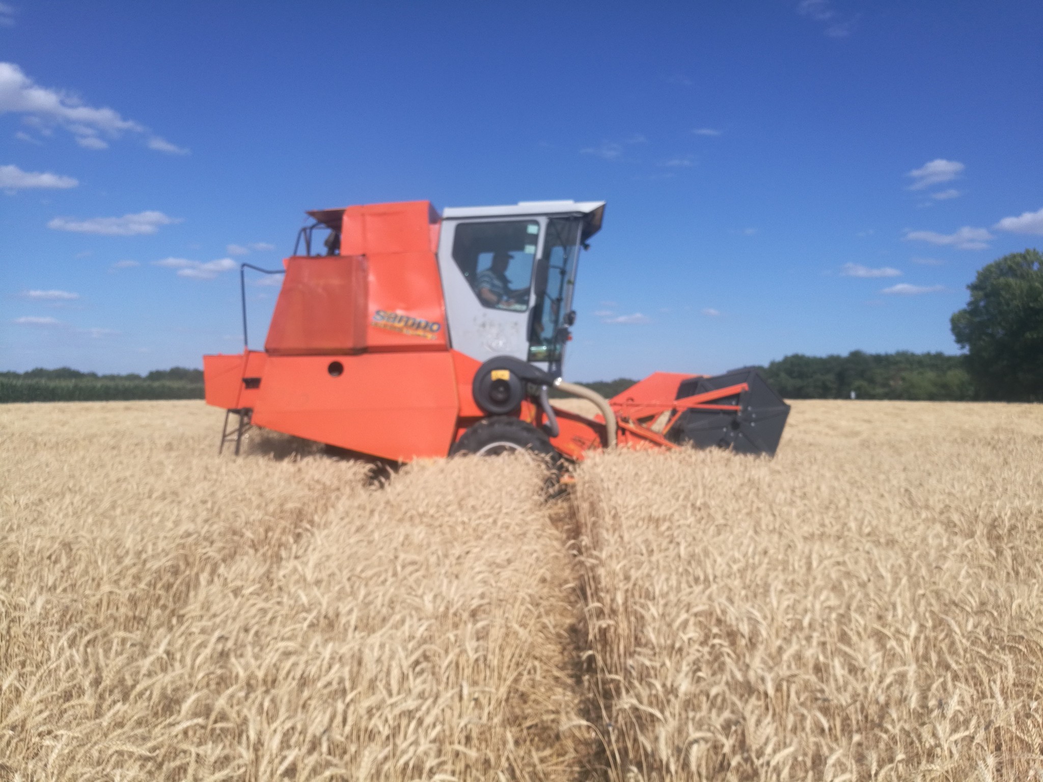 How to harvest soybeans - My, Soy, Seeds, Seed production, Agricultural League, Progressive crop production, Video, Longpost, Сельское хозяйство