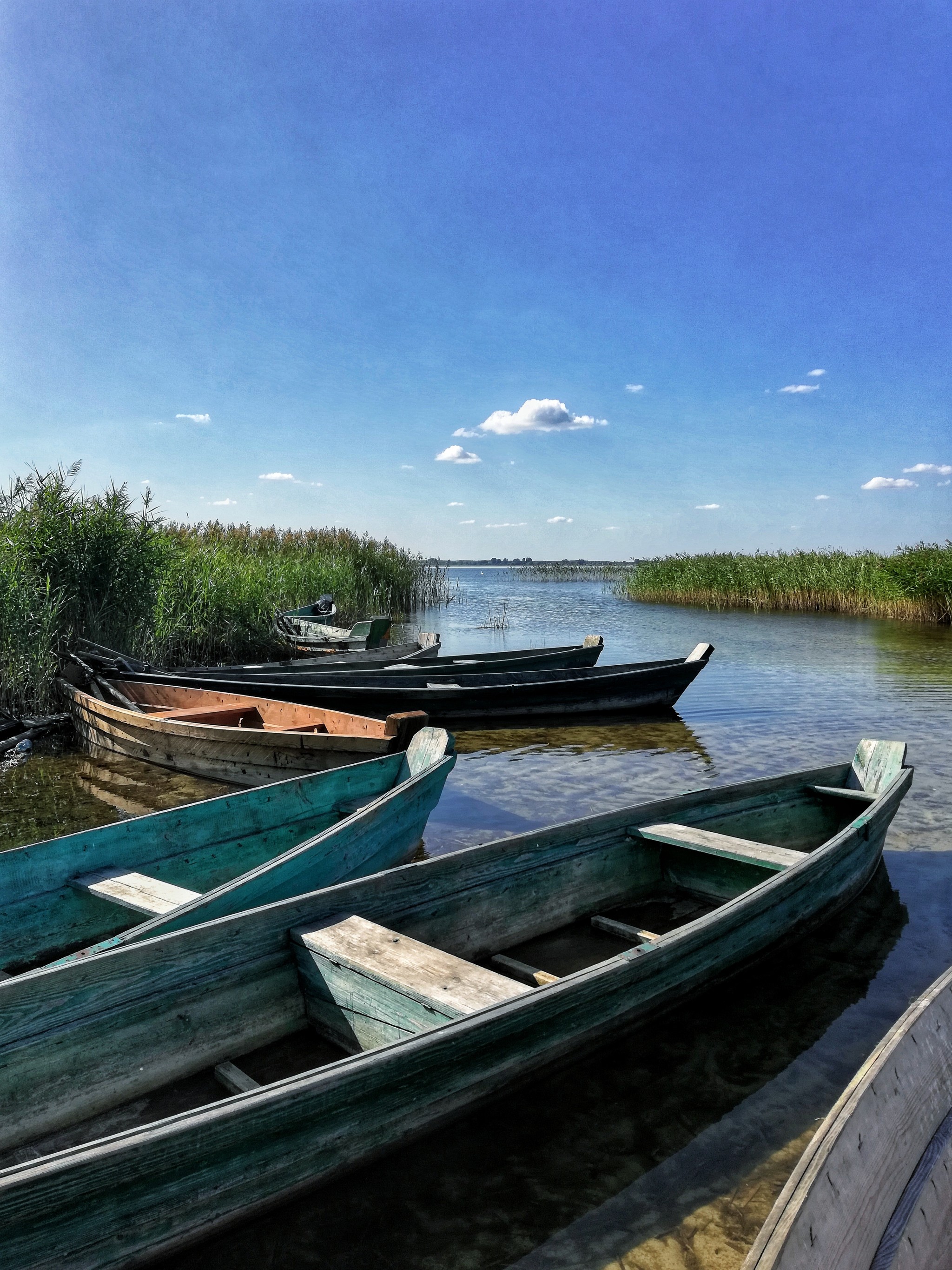 A trip to the Shatsk Lakes (Svityaz) - My, Relaxation, Summer, Shatsk Lakes, Longpost