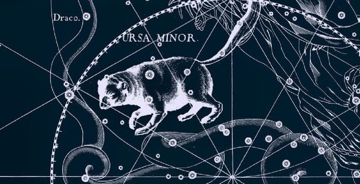 Малая медведица созвездие. Ursa Minor Созвездие. Малая Медведица Созвездие картинки. Созвездие крысы.