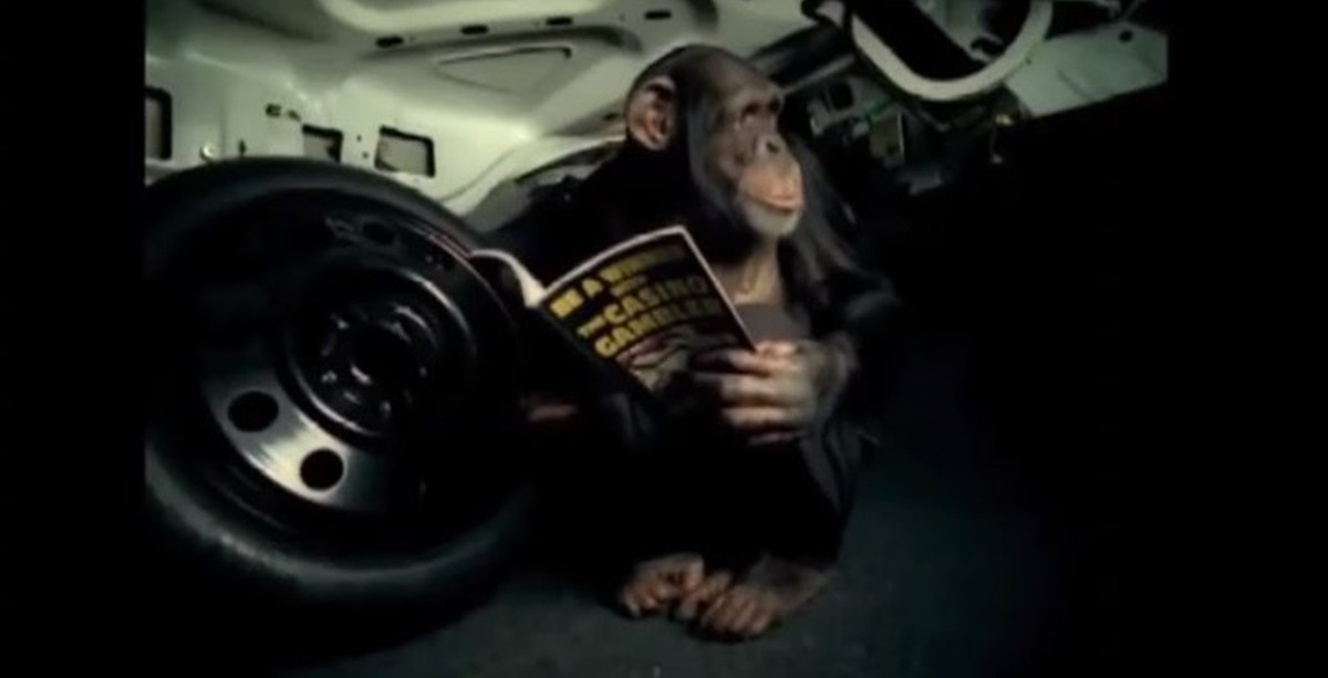 Trunk Monkey Funny Videos