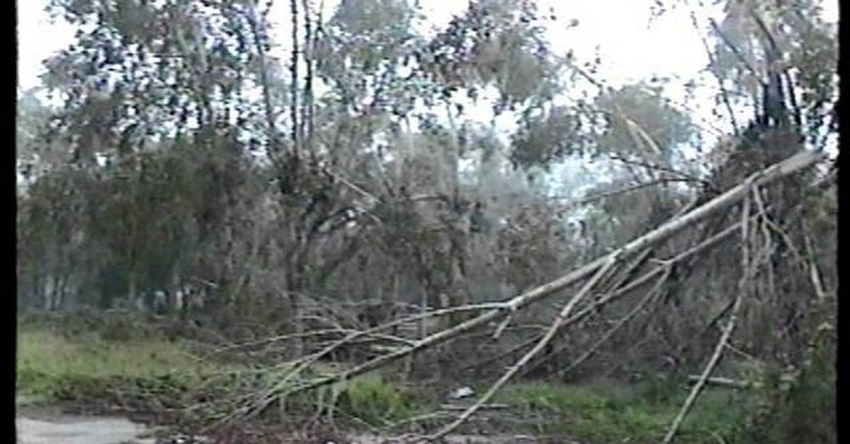 Ураган в сибири. Ураган в Усолье-Сибирском 2004. 16 Июля 2004 Усолье Сибирское ураган. Ураган 2004 год Усолье Сибирское. Усолье-Сибирское после урагана.