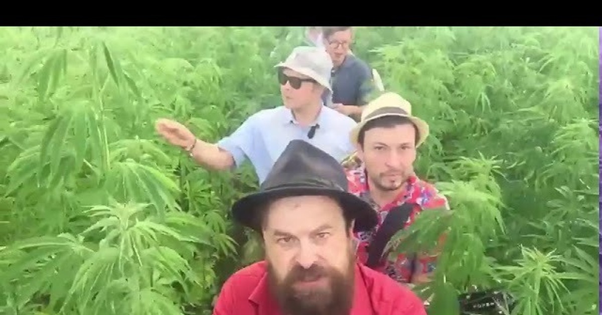 Айболит 66. В медицинских целях) | Пикабу