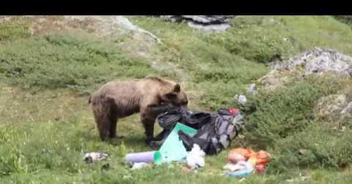 Съеденные Медведем