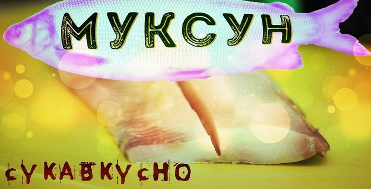 Севиче | Пикабу