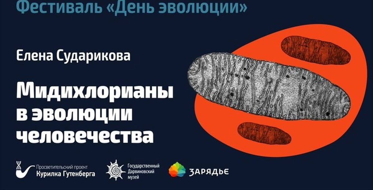 медихлориад. квай гон джинн и энакин скайуокер. джордж лукас звездные войны эпизод 1 скрытая угроза. мидихлорианы. мидихлорианы.