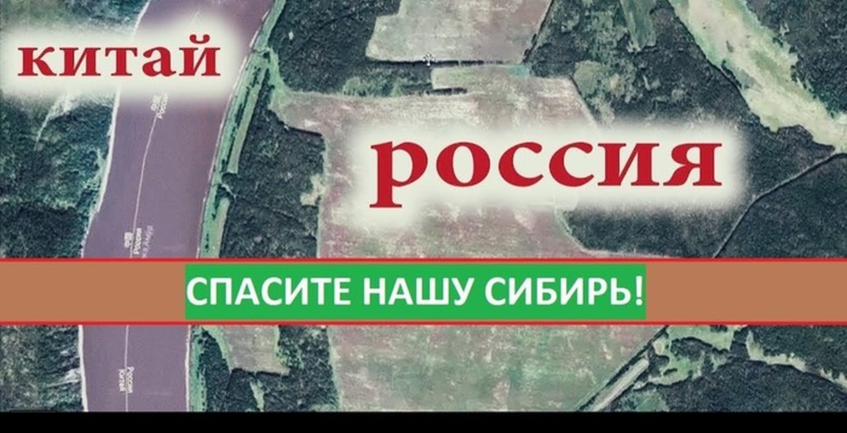 Сибирь на позитиве. Вырубка Сибири китайцами. Вырубка леса китайцами в Сибири. Леса Сибири вырубают китайцы. Сибирский лес вырубают китайцы.