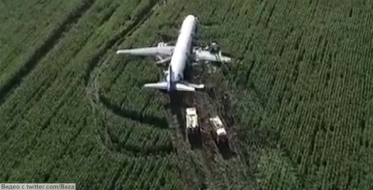 Фото посадки самолета на кукурузное поле
